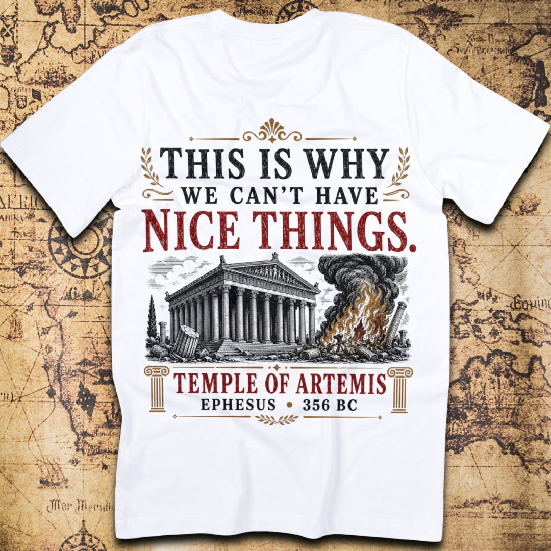 This Is Why We Can't Have Nice Things - Temple of Artemis T-Shirt